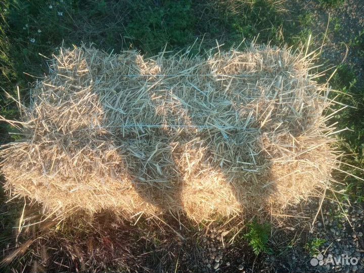 Солома в тюках