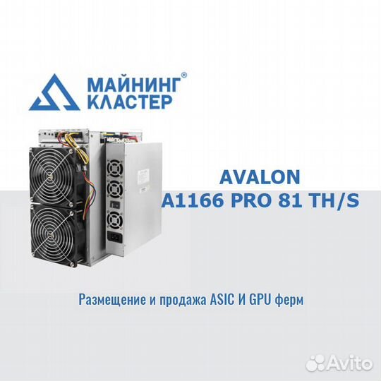 Avalon 1166 pro