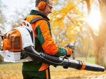 дуб черешчатый систематика растений. рассказ о дубе. дуб 3 разбор. рассказ о дубе. пословица со словом дуб.