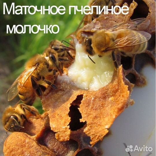 Маточное молочко
