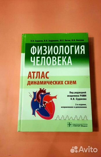 Физиология человека Атлас динамических систем