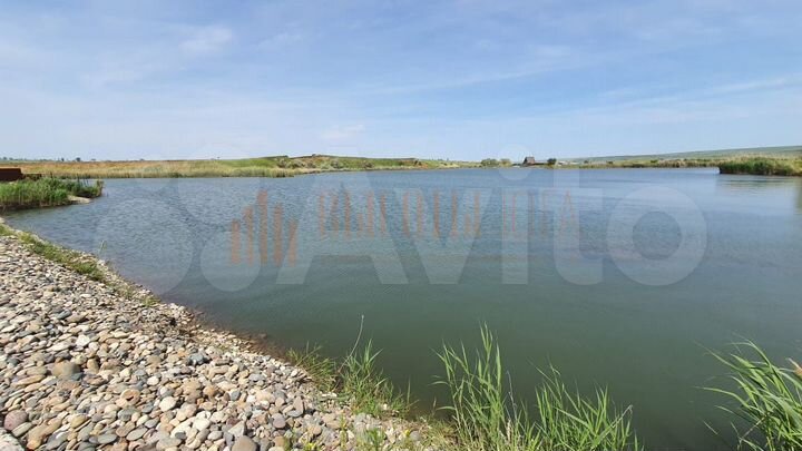 Участок 43 сот. (СНТ, ДНП)