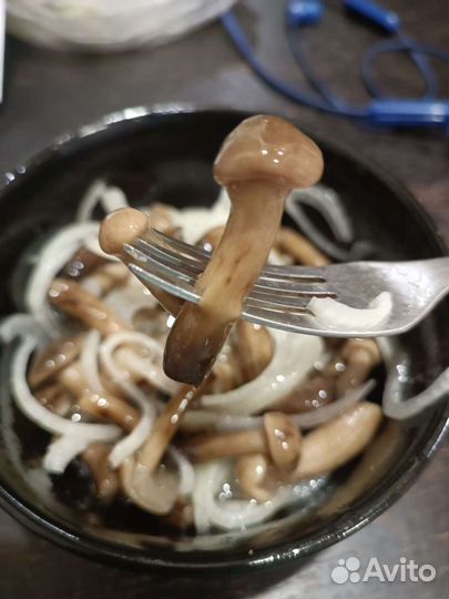 Грибы маринованные, сушёные. Опята, подосиновики