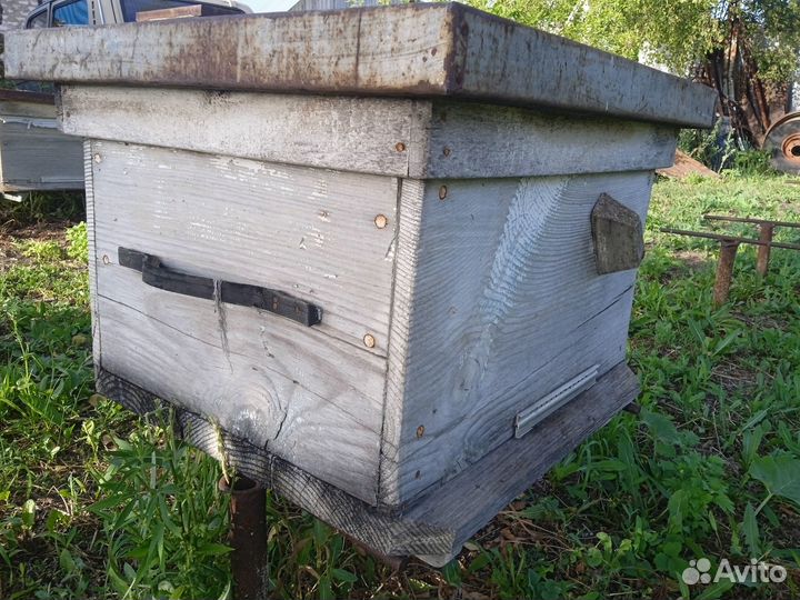 Продаются даданы