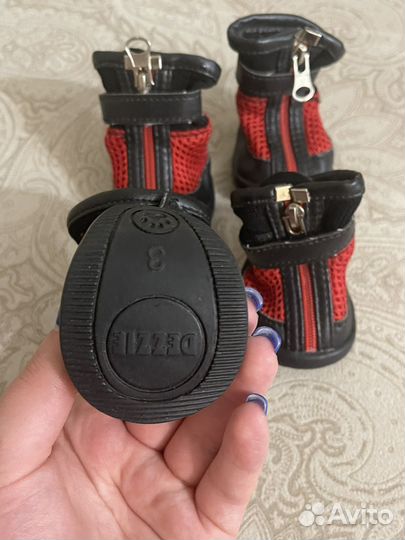 Ботинки для маленьких собак