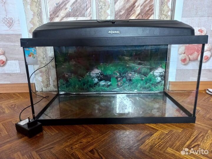 Аквариум
