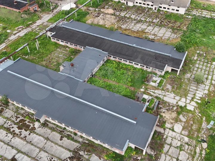 Участок 55,3 сот. (промназначения)