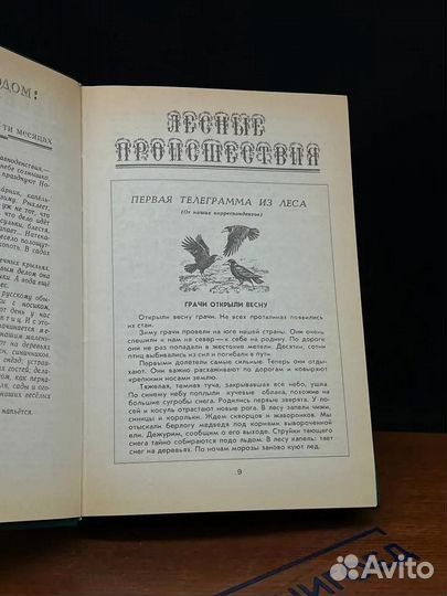 Лесная газета