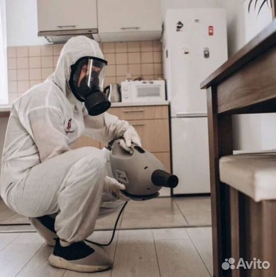 Средство для Уничтожения клопов тараканов плесени клещей