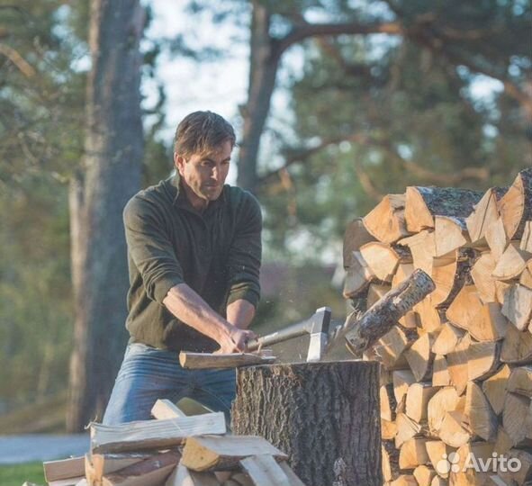 Дрова любые - заготавливаем и доставляем DR-3589