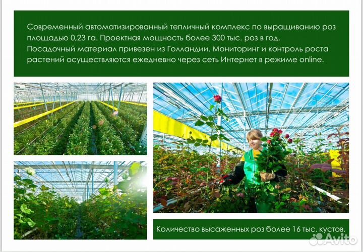Готовый цветочный бизнес