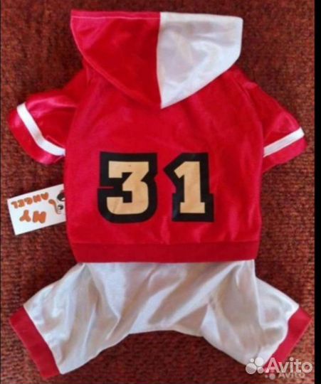 Одежда для собак