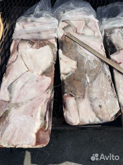 Свежемороженая рыба оптом. От производтеля