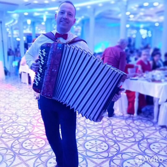 Баянист на праздник