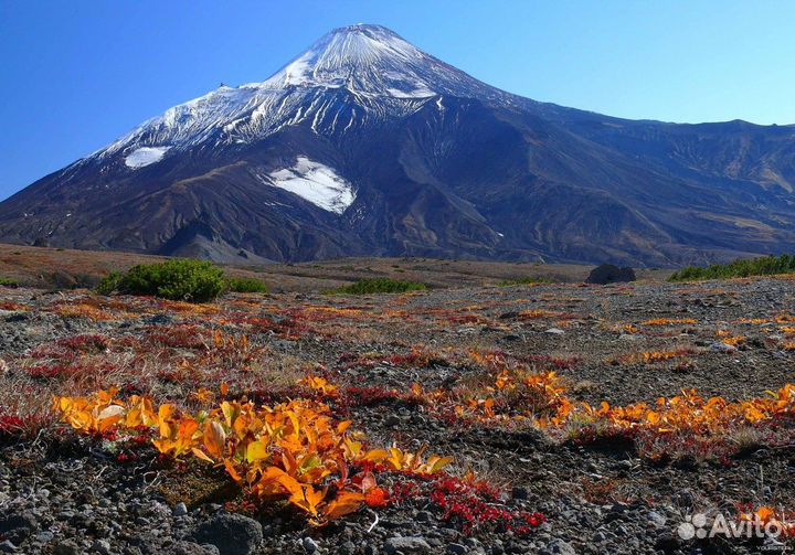 Камчатка Топ-Экскурсия Камчатка свысоты: путешеств