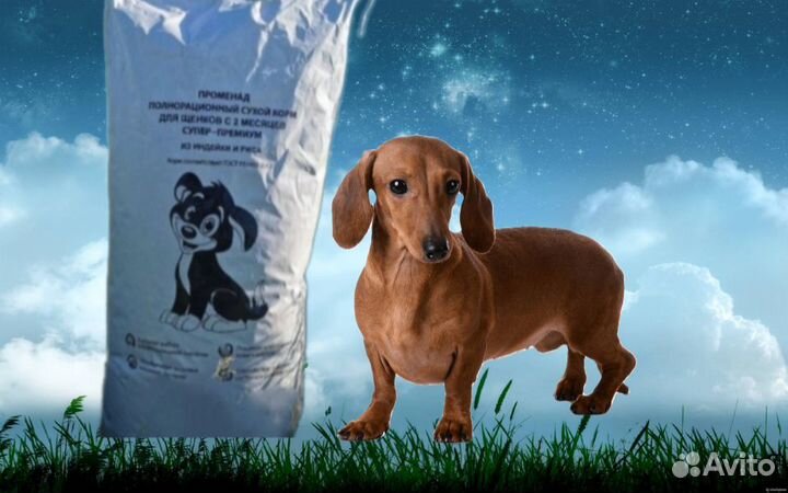 Сухой корм супер-премиум класса для собак/щенков