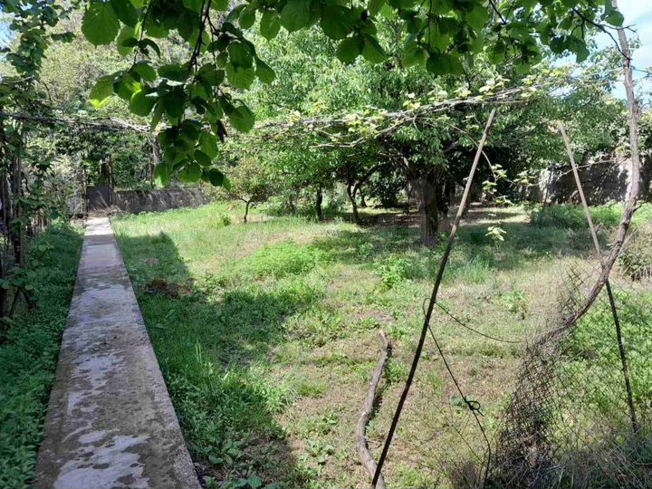 Участок 1416 м² (Грузия)