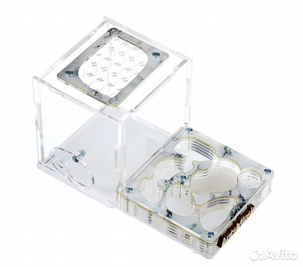 Муравьиная ферма с муравьями в комплекте