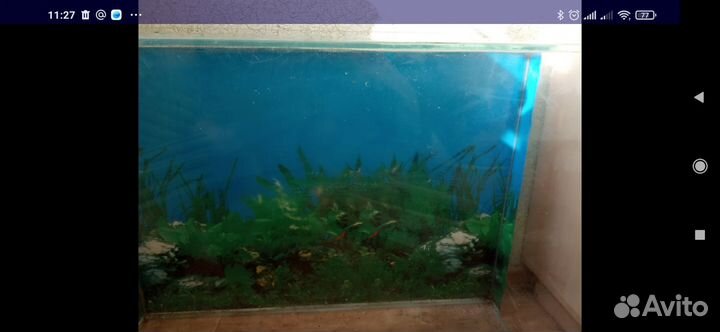 Аквариум под террариум