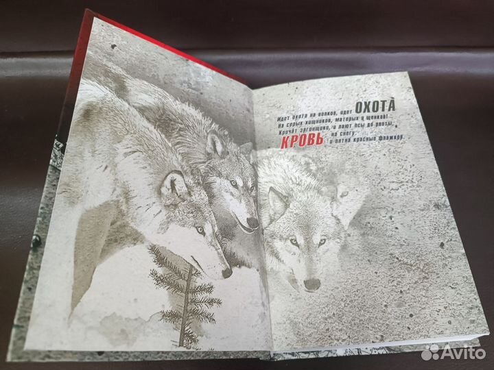 Черная свеча. Высоцкий, Мончинский. Книга