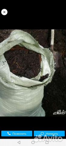 Конский перегной