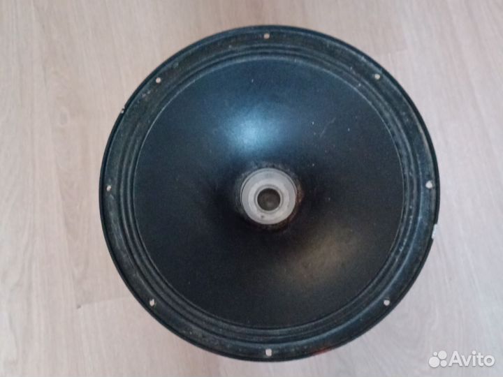 Эстрадный динамик