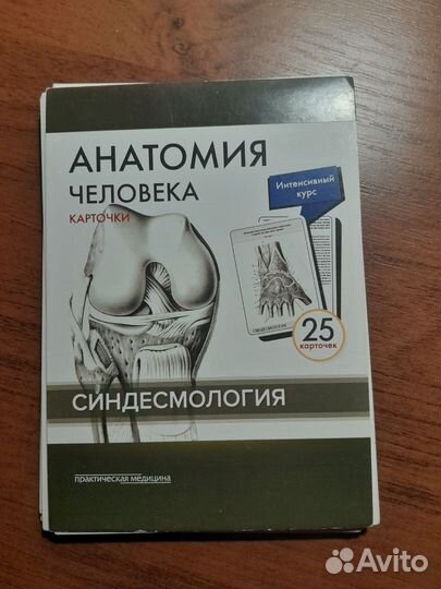 Анатомия человека карточки Сапин Синдесмология