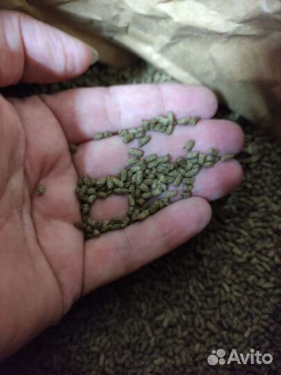 Корм для рыб