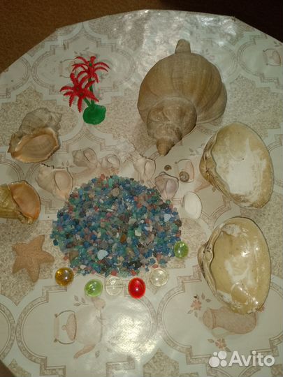 Все для аквариума