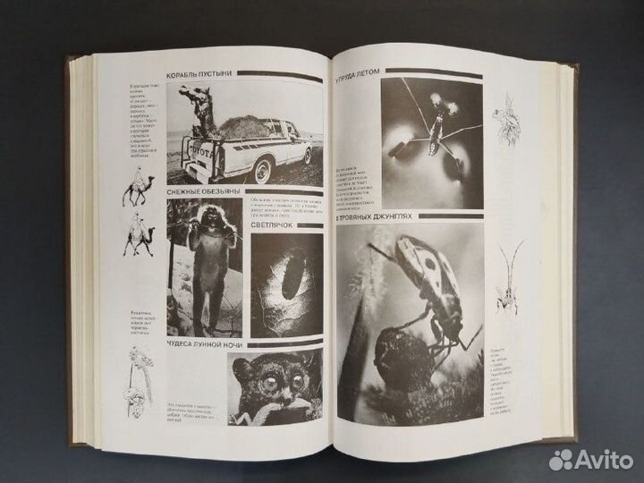 В. Песков. Окно в природу. Том 1