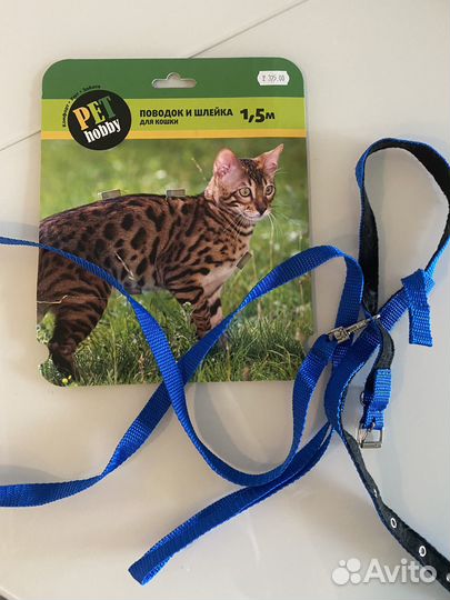 Шлейка для кошки