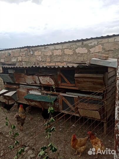 Продается клетка для кроликов