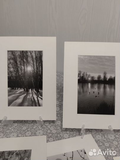 Фотографии