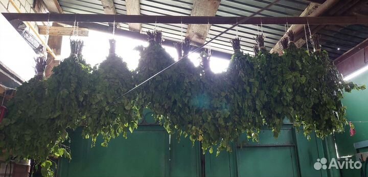 Берёзовый веники продам