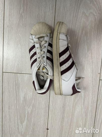 Кроссовки adidas superstar женские