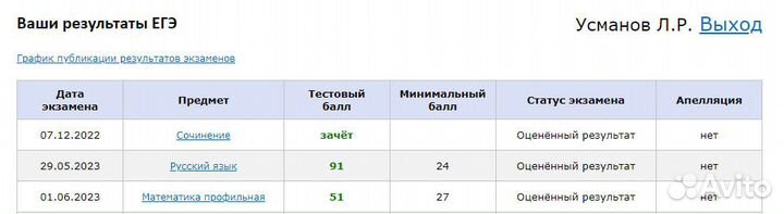 Репетитор по русскому языку/литературе