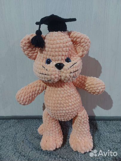 Мягкая игрушка Кот учёный