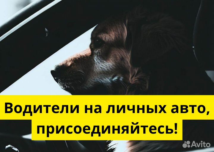 Подработка на личном авто в Яндекс Go