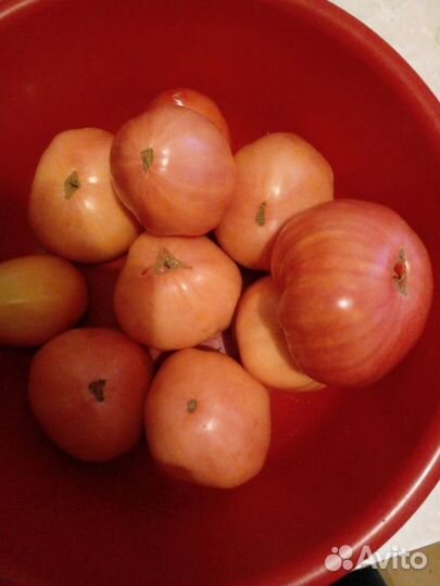 Помидоры