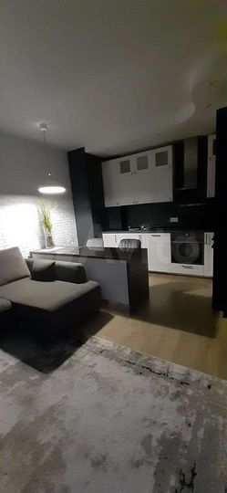 1-к. квартира, 54 м², 9/24 эт.