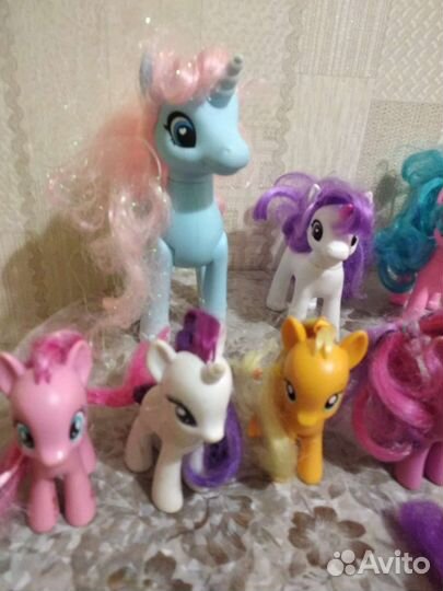 My Little Pony и одна Собачка