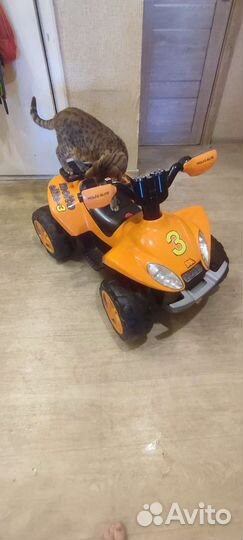 Машина детская на аккумуляторе (квадроцикл)