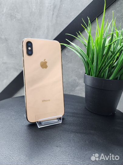 iPhone Xs, 256 ГБ