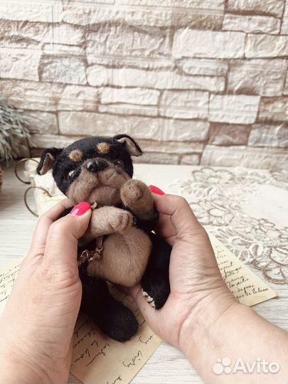 Тедди собака ручной работы