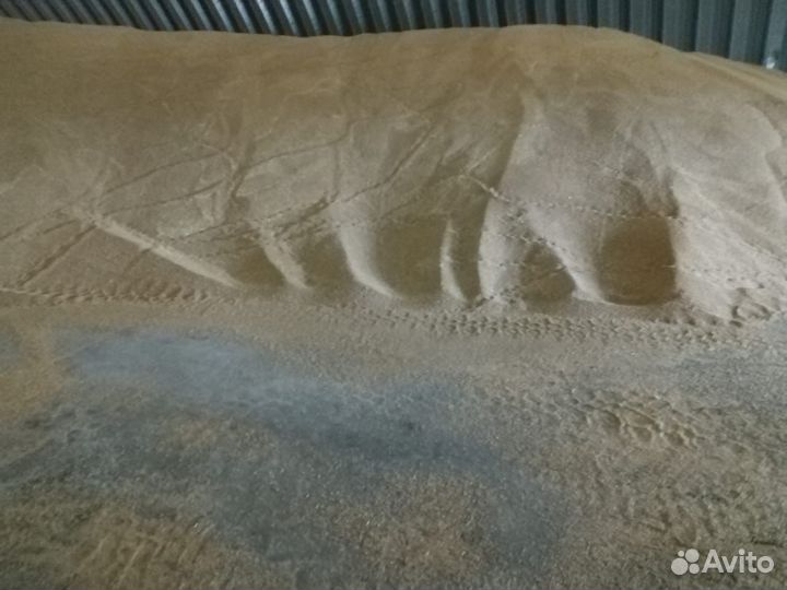 Пшеница фуражная оптом