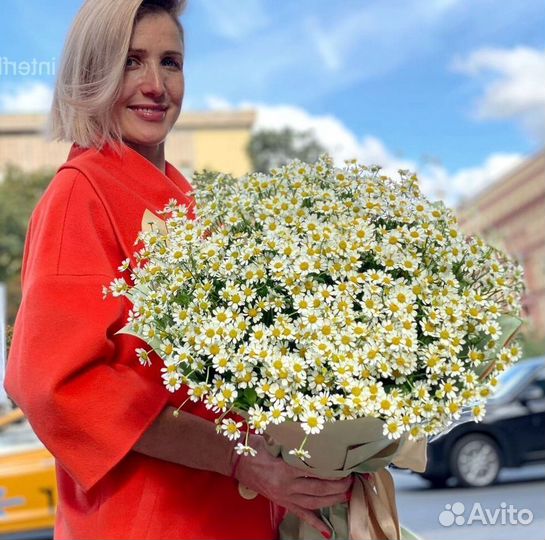 Ромашка Доставка цветов