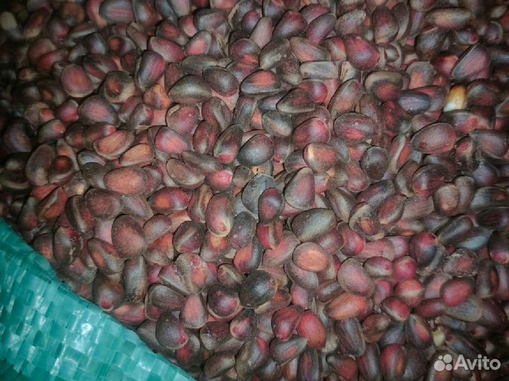 Кедрорешки