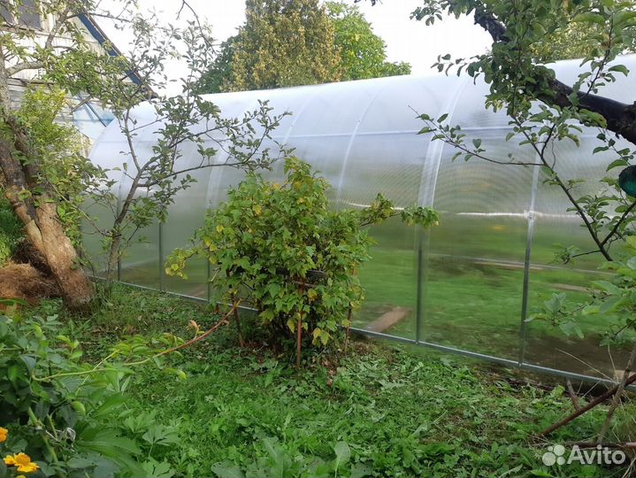 Теплица из поликарбоната усиленная