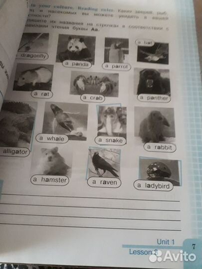 Рабочая тетрадь по английскому 3 класс Кузовлев