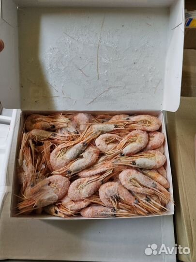 Свежемороженая горбуша